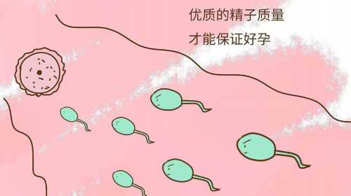 河南省做试管婴儿最好的医院 医生 2023做供精试管婴儿选择郑大一附院好还是郑