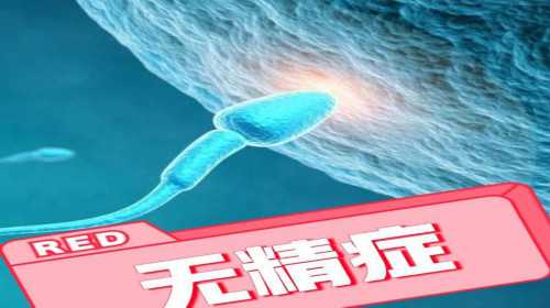 北京市排名前十名的私立试管生殖中心有哪些？-供卵试管去哪