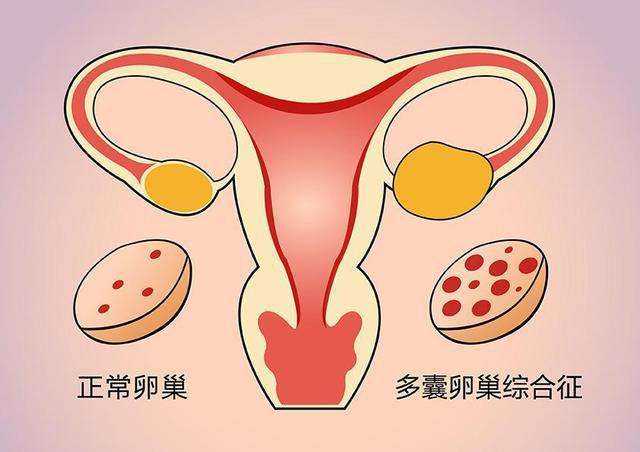 苏州做试管代孕有几家 苏州生殖中心最好的医院汇总 ‘孕囊7*4*5看男女’
