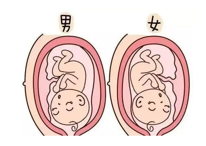 济南借卵怀孕大概费用 济南做试管婴儿能不能成功怀孕取决于哪几个方面? ‘胎