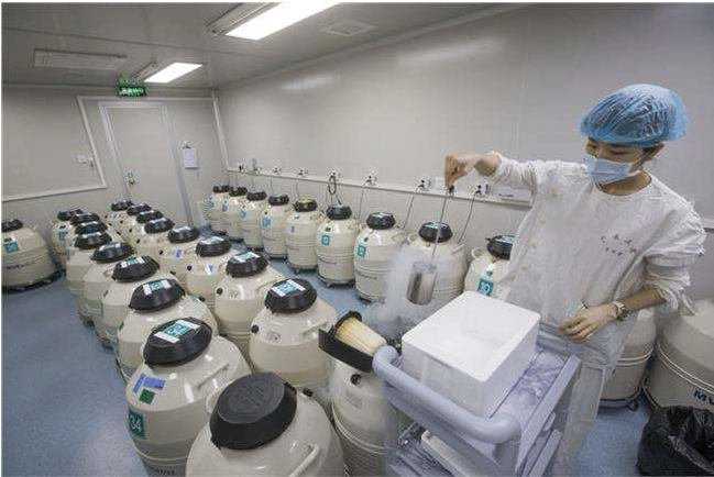 福州供卵如何排队 福州第900医院试管婴儿各项目价格明细 ‘胎囊看男女图解’