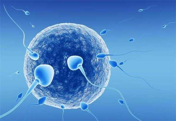 50岁福州借卵助孕 福州第三代试管婴儿技术 ‘一个月b超单看男女’